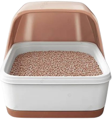 catlitter
