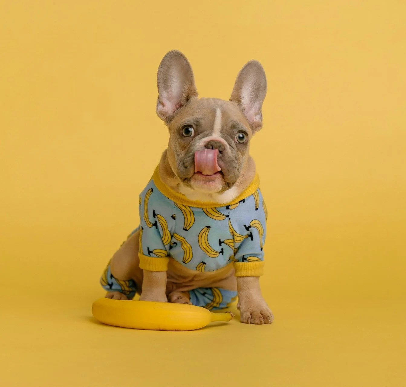 Home karsten winegeart 7vhqno st88 unsplash